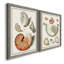 Collection de coquillages I - ensemble de 2 reproductions d'art sur toile-131455663-131455660