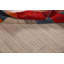 Tapis indien en laine fait à la main de style Gabbeh 6 x 8