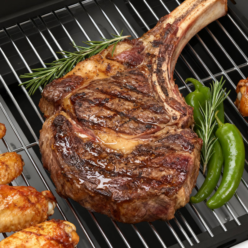 Barbecue au propane à 2 brûleurs 21 000 Btu - 325 pieds carrés Electactic Espace de cuisson, couvercle et roulettes