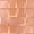 Rose Gold Frosted