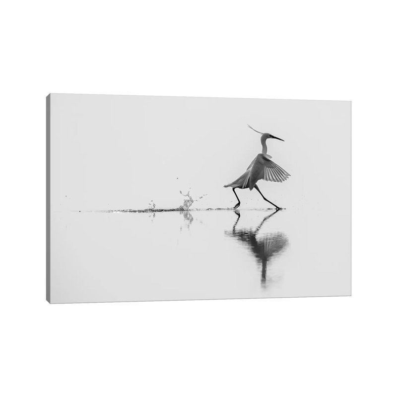 Dancing On The Water by Mauro Rossi - Wrapped Canvas Print, 66.04 cm H x 45.72 cm W x 3.175 cm D