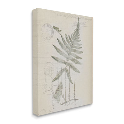 «Au-798-Canvas Vintage Post Card Fern Leaf On Canvas» par Tina Higgins Designs, Inc., reproduction de dessin