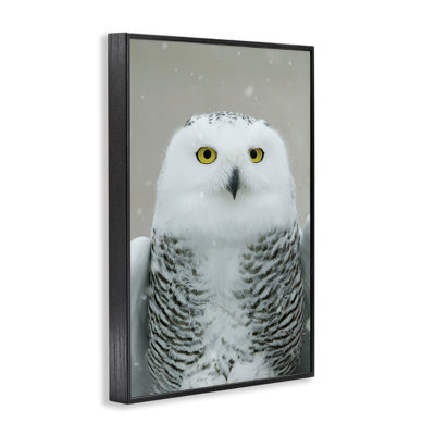 «Snowy Owl», estampe numérique par Carrie Ann Grippo-Pike