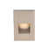 LED Recessed Light