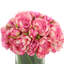 Peony Arrangement in Glass Vase with Grass-1076545434