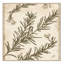 Tapis beige rustique lavable à la machine Oyan Rosemary Country-720332915