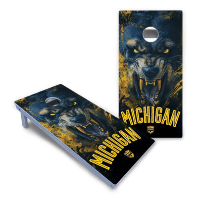 Ensemble de cornhole Michigan