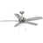 Brushed Nickel with Silver Blades selected
