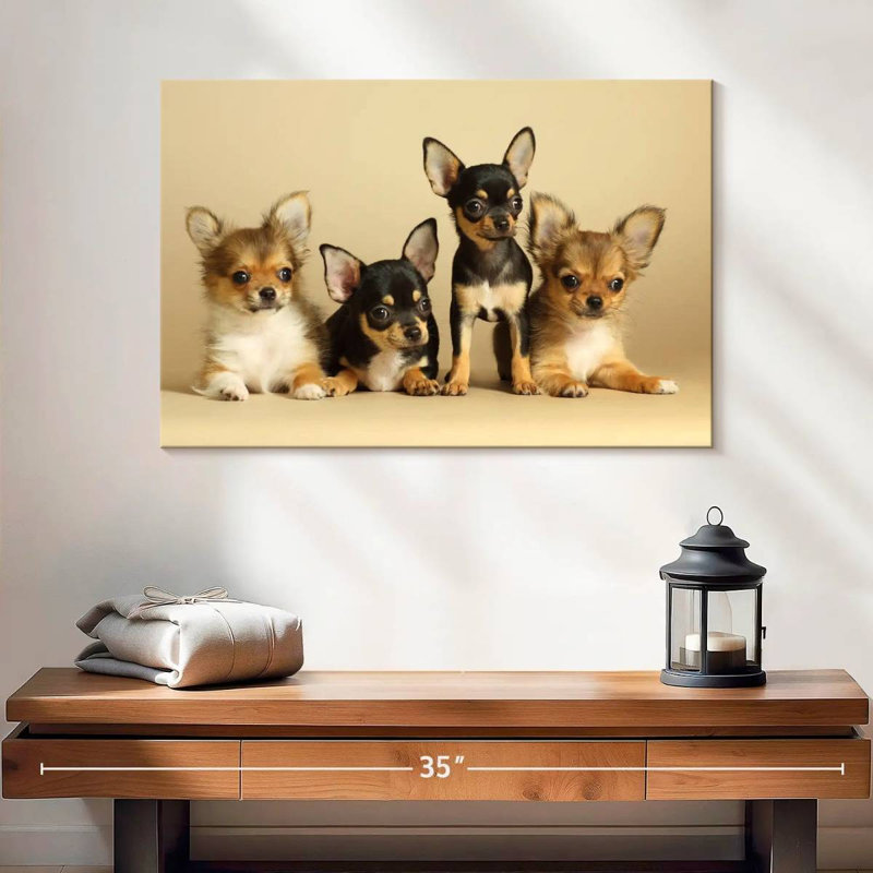 Adorables chiens chihuahua, H 8 po x l 12 po