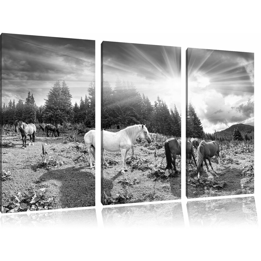 3-tlg. Leinwandbilder-Set „Carpathian Mustangs Pferde auf den Bergen“, Fotodruck