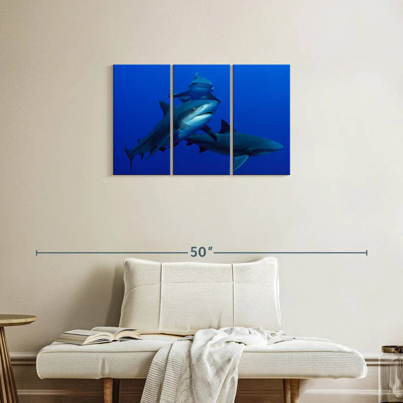 Brampt Triple Sharks, 20" H x 33" W