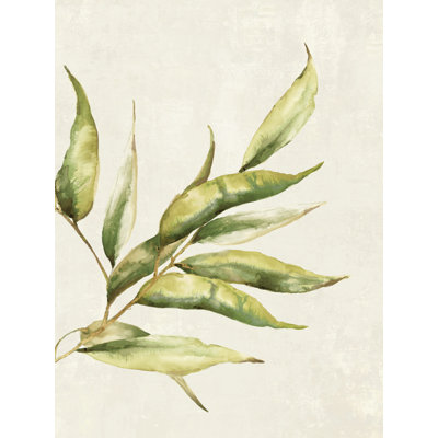 " Willow Branch I " by Eva Watts