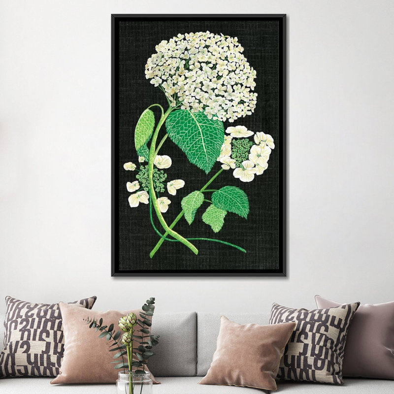 " White Hydrangea Study II " by Melissa Wang, 26" H x 18" W x 1.5" D, Black Framed Canvas, No Mat