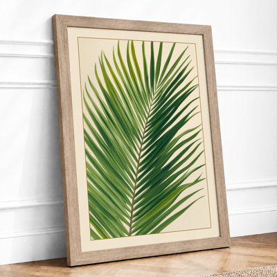 Palm Frond Study Botanical - Print