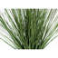 Plante Mcfadden en fausse herbe en pot de ciment