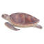 GRANDE TORTUE DE MER