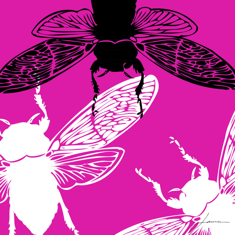 Pop Fly II by James Burghardt - Wrapped Canvas Art Prints, 91cm H x 91cm W