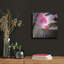 «Zen Bowl» par PhotoINC Studio-1715230252
