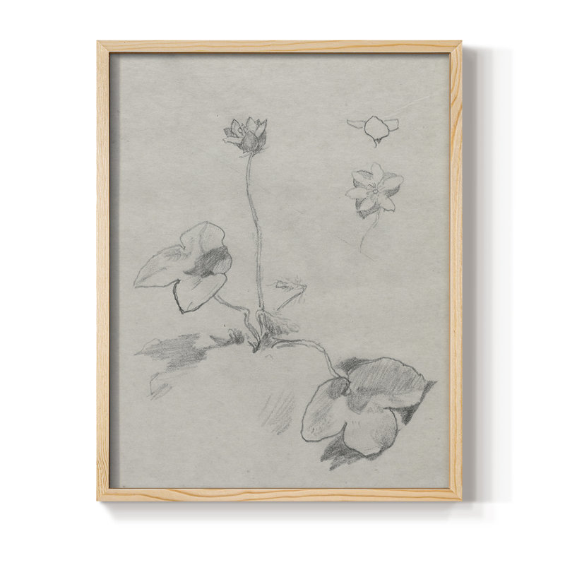 Vintage Sketch LII Framed Print - Solid Wood, 21" H x 17" W, Natural
