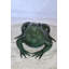 Amable Copper Croaking Frog Bronze Statue in Green Patina Fountain Size: 15" x 10" x 7"H