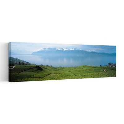 Vineyard At The Lakeside Lake Geneva Switzerland by Bo Brännhage - Wrapped Canvas Panoramic Print