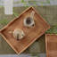 August Grove Wicker Tray