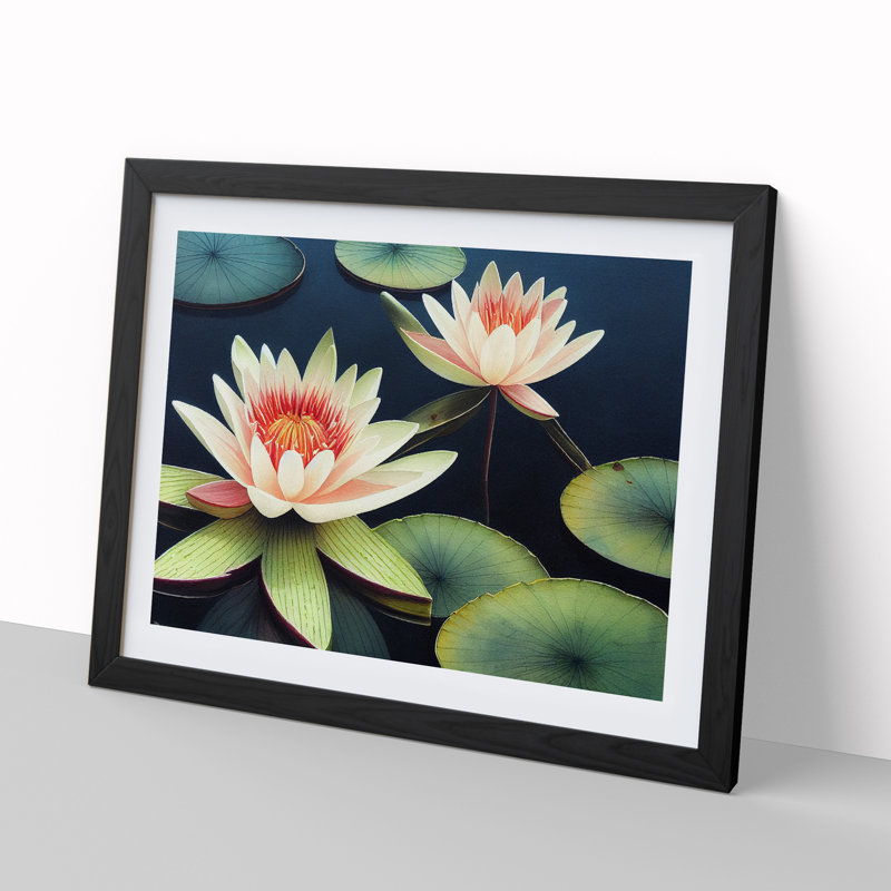 Compelling Water Lily Flowers - Single Picture Frame Print, 25cm H x 34cm W x 2cm D, Black