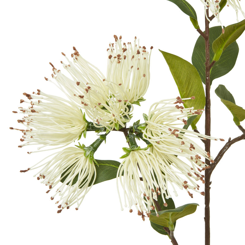 Anastasija Arrangement, 65 cm H x 10 cm W x 10 cm D