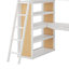 Lit mezzanine simple avec échelle, tablettes et bureau