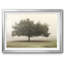 Arbres dans le brouillard II-184713575-184713572