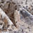 Parrado Ikat Indoor Rug-61862830