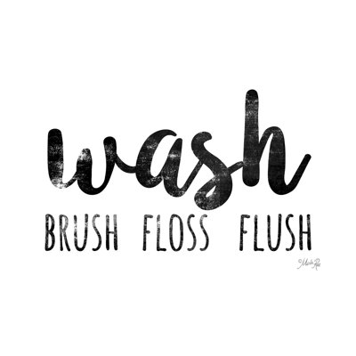 " Wash-Brush-Floss-Flush "