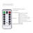 Neneh Outdoor 20 - Bulb 78.74'' Battery Powered Novelty String Light