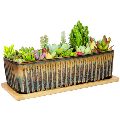 Succulent Pots, 12'' Long Rectangle Planters with Tray, Windowsill Planter Large Ceramic Pots for Indoor Cactus Plants Shallow Bonsai Window Box for Home Garden Decor