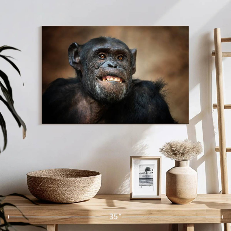 Crowle Funny Chimpanzee
