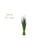 40'' Faux Onion Grass Grass