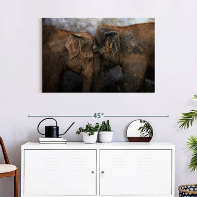 «Brampt Elephant Young Love»