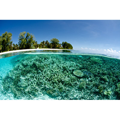 «Tropical Island» par Rainervonbrandis