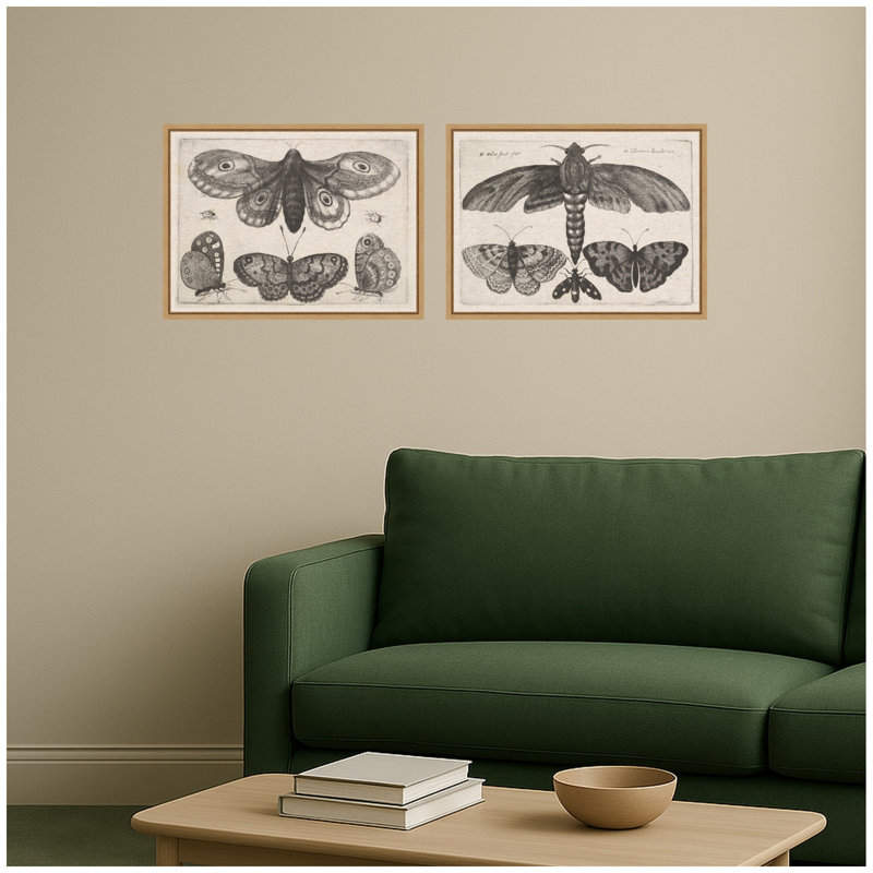 «A Moth Three Butterflies Wenceslaus Hollar», ensemble de 2 toiles encadrées par Nostalgia