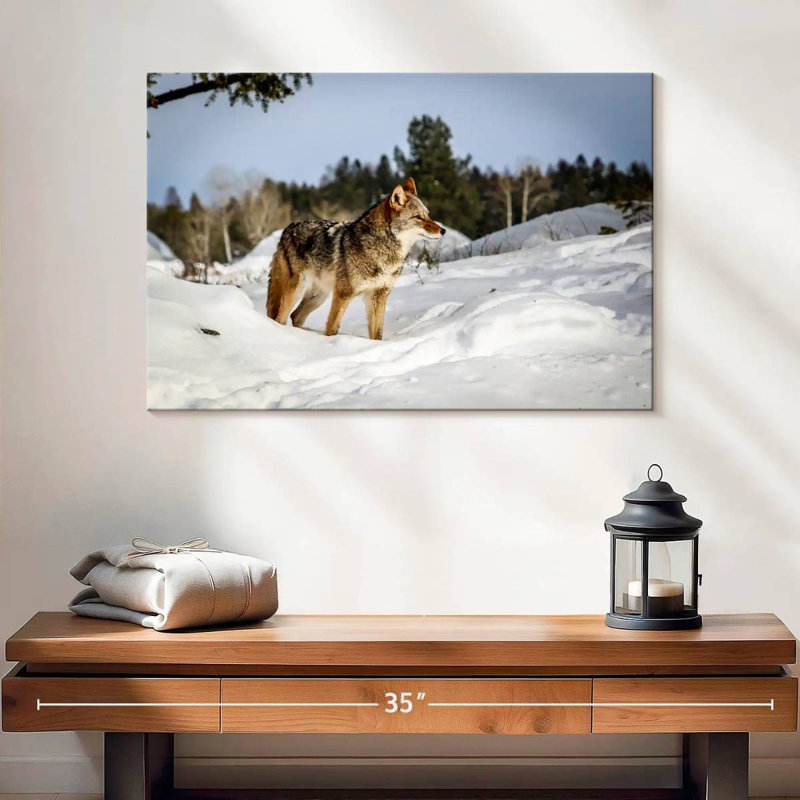 Coyotes de neige d'hiver Brampt, H 16 po x l 24 po