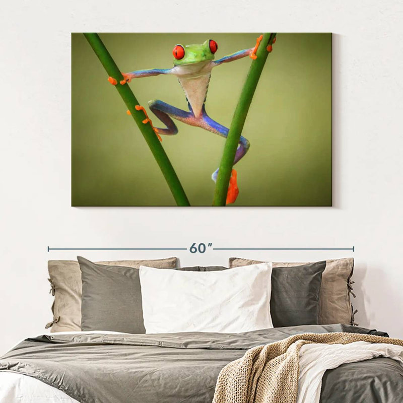 Frog Show Off, 34" H x 51" W