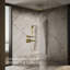 Pomme de douche à pluie Contemporary-149482345-169007077-169007078