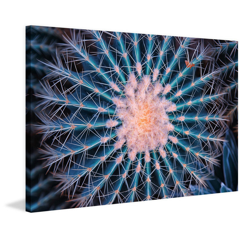 Wrapped Canvas Print, 51cm H x 76cm W