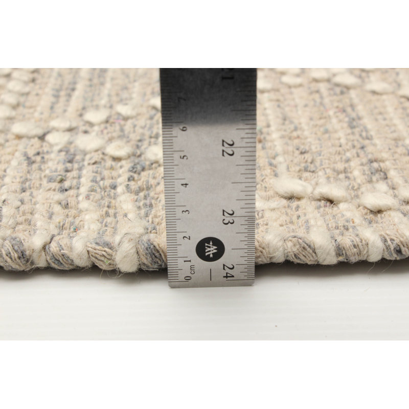 Demosthenes Performance Hand Braided Wool Rug