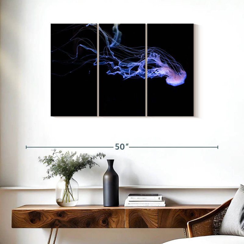 Atlantic Sea Nettle, 24" H x 38" W