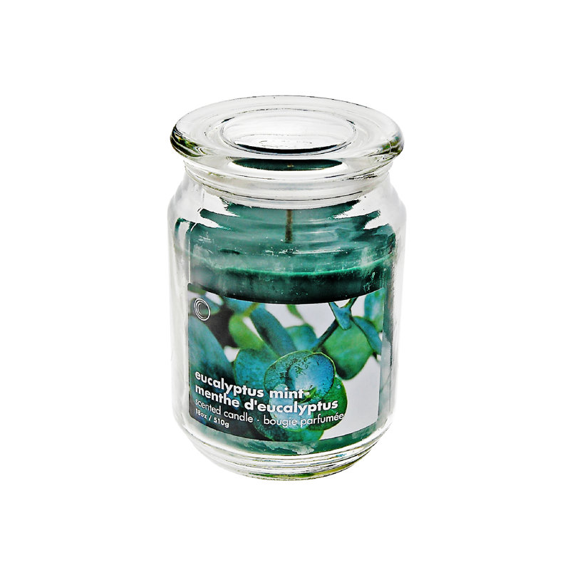 Bougie parfumée eucalyptus menthe