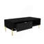 Table basse Mid-Century moderne avec tiroirs doubles-1924070326