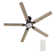 Clabo 60'' Ceiling Fan with LED Lights