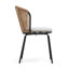 Besian Rattan Dining Chair Set