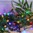 Phillips Electric String Lights with Multicolor Globes